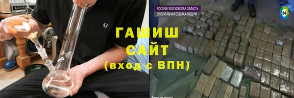 индика Бородино